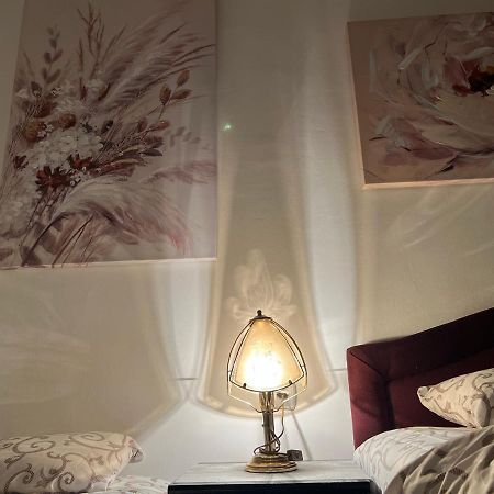 Hardy'S Apartment 贝尔格莱德 外观 照片